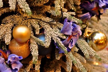 Similar image 21503830