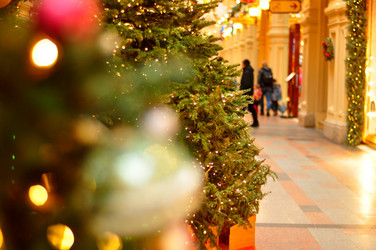 Similar image 21504116