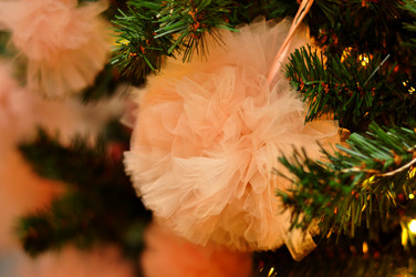 Similar image 21504118