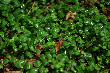 Similar image 21504119