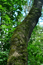 Similar image 21504121