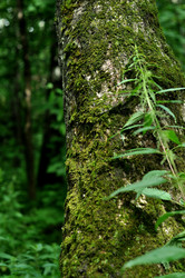 Similar image 21504257