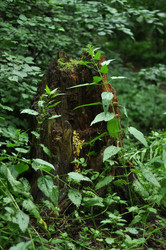 Similar image 21504258