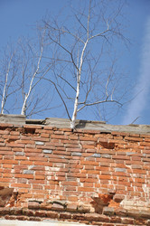 Similar image 21489332