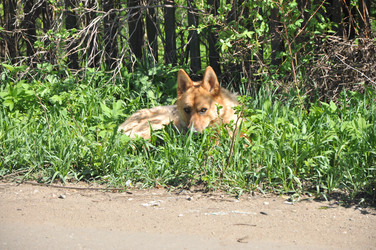 Similar image 21489597