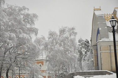 Similar image 21492244