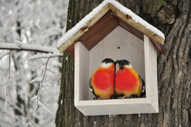 Similar image 21492245