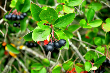 Similar image 21492258