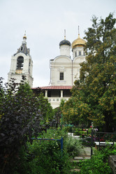 Similar image 21502648