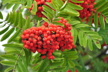 Similar image 21502660