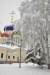 Similar image 21503108