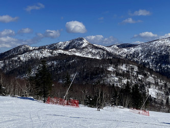 Similar image 21503113