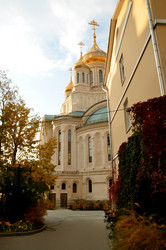 Similar image 21491647