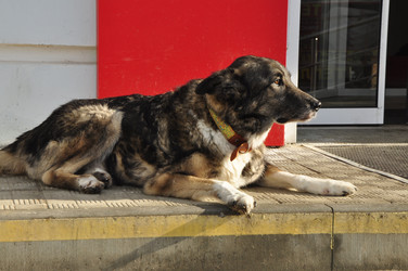 Similar image 21502670