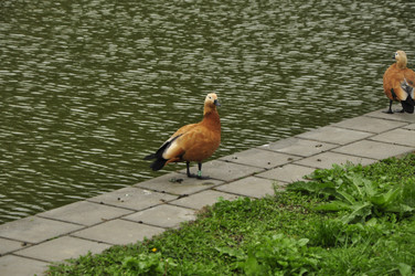 Similar image 21503135