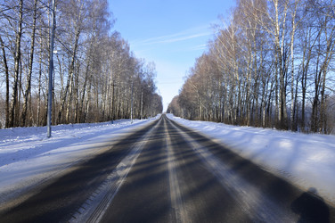 Similar image 21503549