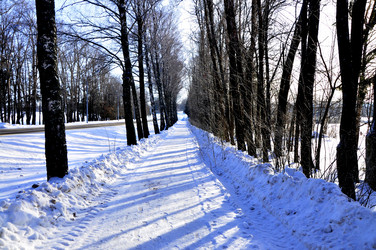 Similar image 21503553