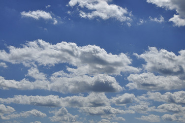 Similar image 21503842