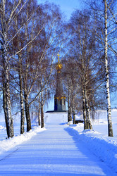 Similar image 21503968