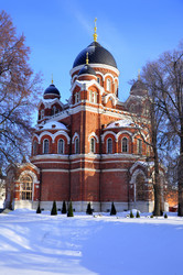 Similar image 21504130