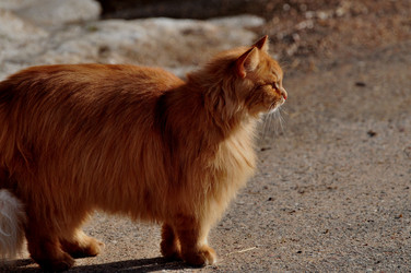 Similar image 21489360