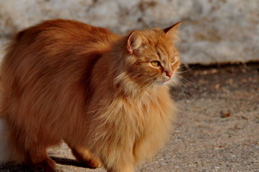 Similar image 21489361