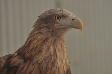 Similar image 21489600