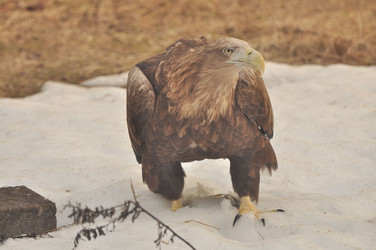 Similar image 21489601