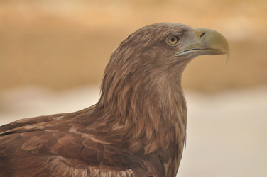 Similar image 21490169