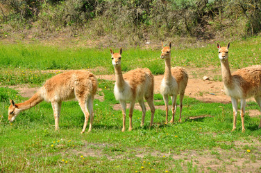 Similar image 21492316