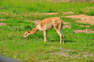 Similar image 21492317