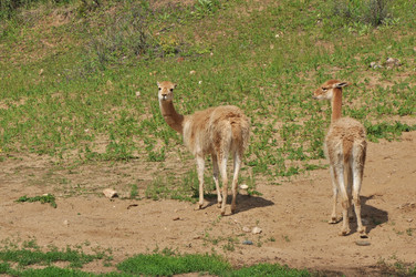 Similar image 21495209