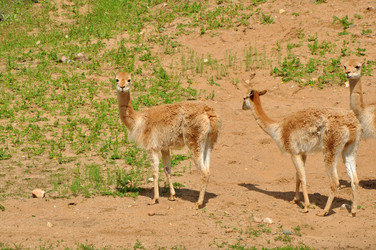 Similar image 21495228