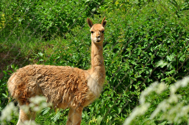 Similar image 21495252