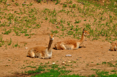 Similar image 21499684