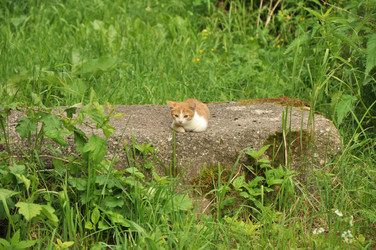 Similar image 21502681