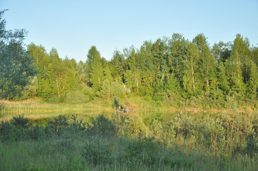 Similar image 21503140