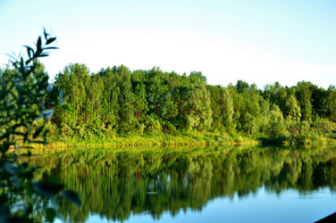 Similar image 21503141