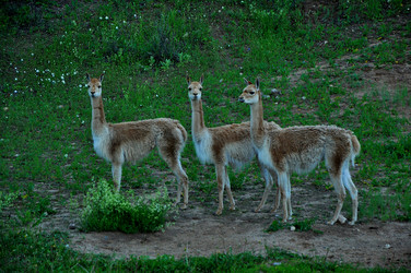 Similar image 21503142