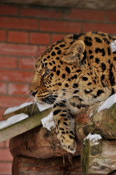 Similar image 21503144