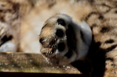 Similar image 21503558