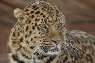 Similar image 21503846