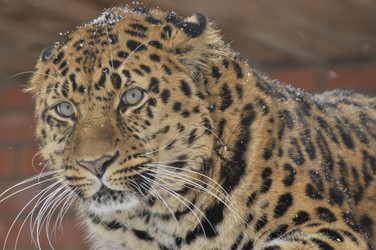 Similar image 21503847