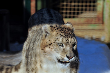 Similar image 21489363