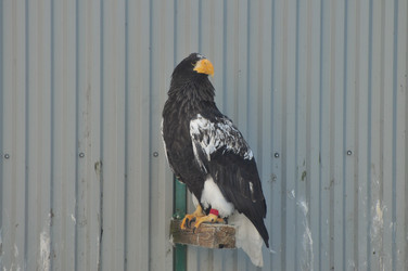 Similar image 21489604