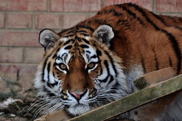 Similar image 21489605