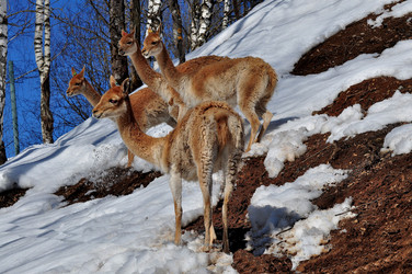 Similar image 21490186