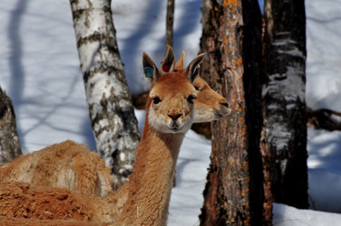 Similar image 21490187