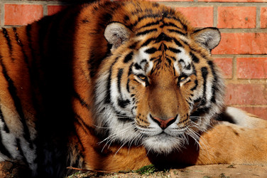 Similar image 21490188