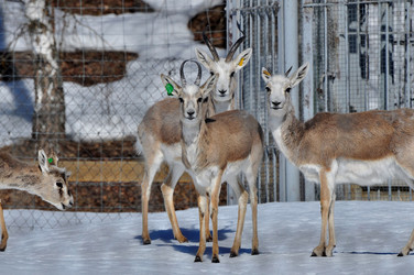 Similar image 21490189